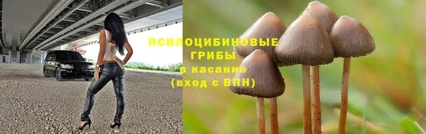 винт Богданович